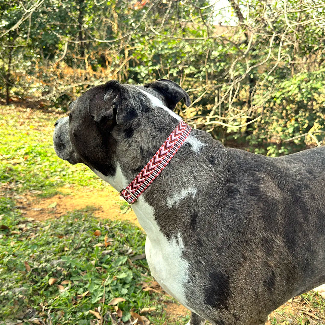 Woven Dog Collar